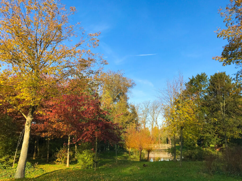 Vijver in herfstkleuren